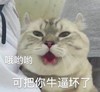 萌宠 喵星人 哦呦呦 可把你牛逼坏了 搞怪 呆萌