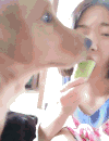 可爱 搞笑 萌宠 笑死