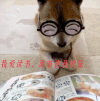 萌到心头的萌物