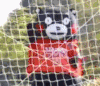熊本熊
