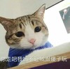 傻子 猫咪 喵星人 你走吧 我妈不让我跟傻子玩