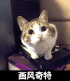 画风奇特 猫咪 呆萌 可爱