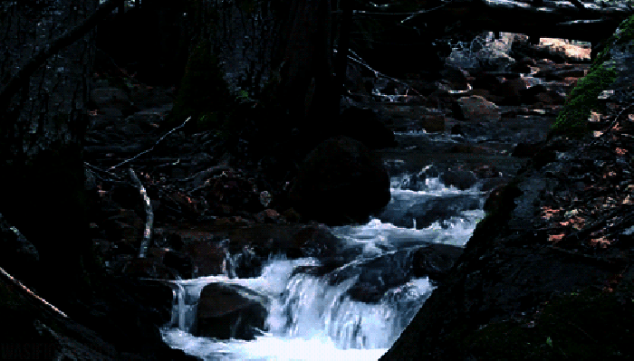 石头 河水 动态 小溪