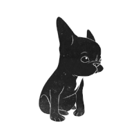狗狗 黑白 眼神 等待
