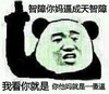 智障你妈逼成天智障 我看你就是你他妈就是一个傻逼 熊猫人 嚣张