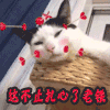 这不止扎心了老铁 难受 猫