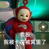 老板 我被卡在被窝里了 可爱 天线宝宝