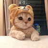 萌宠 猫星人 呆住 可怜 呆萌 可爱