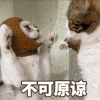 萌宠 猫星人 不可原谅 讨厌 呆萌 可爱