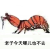 皮皮虾 卡通 红色 老子今天哪儿也不去