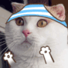 猫咪 内裤 恶搞 二次元