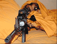 睡前 宠物 小心 搞笑 萌 狙击手 gif