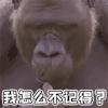 萌宠 猩猩 蒙圈 我怎么不记得