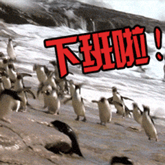 下班啦！ 企鹅 飞跑 开心
