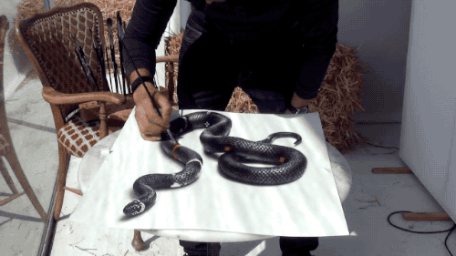 蛇 绘画 艺术  美学