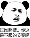 熊猫头 文字表情包 哎哟卧槽你这是不服的节奏啊 搞怪 逗 沙雕