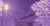 黑夜 灯光 樱树 花瓣