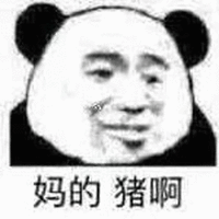 暴漫 熊猫头 妈的 猪