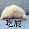萌宠 屁股 放屁