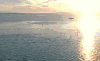 乌伦古湖 夕阳 新疆 湖面 福海县 纪录片 航拍中国 船