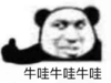暴漫 文字表情包 牛蛙牛蛙牛哇 搞笑 逗 沙雕