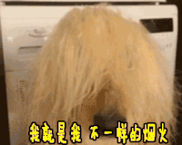 搞怪 我就是我 不一样的烟火 萌宠 狗狗