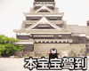 熊本熊 本宝宝驾到