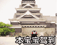 熊本熊 本宝宝驾到