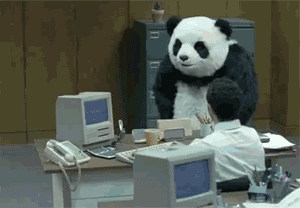搞笑 斗图 加班 熊猫 雷人