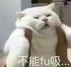 不能fu吸 猫咪 喵星人 搞笑 可爱 胖乎乎
