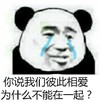 熊猫头 彼此相爱 不能在一起 斗图 搞笑 猥琐 哭泣