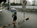雨伞 发大水 小汽车 掉水里