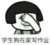 金管长 开心 喜泪 学生狗在家写作业