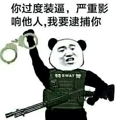 你过度装逼gif严重影响他人gif我要逮捕你gif熊猫人gif