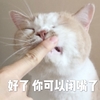 萌宠 猫星人 好了你可以闭嘴了 不要说话 呆萌 搞怪