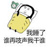 宿舍群专用表情包 我睡了 谁再吱声我干谁