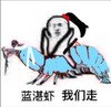金馆长 高跟鞋 大虾 蓝湛虾我们走