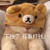 萌宠 喵星人 下线了 有事打钱 呆萌 可爱