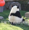 萌宠 熊猫 只留下了孤独的背影 难受 搞怪 呆萌