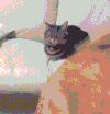 喵星人 猫咪 可爱 萌宠