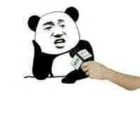 金馆长 熊猫 采访 话筒