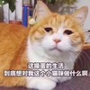 丧 丧逼 丧逼表情包