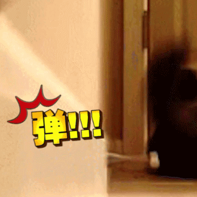 喵星人 搞笑 可愛 萌寵 貓咪