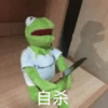 卡通 青蛙 武器 自杀