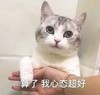 萌宠 猫星人 算了 我心态超好 呆萌 可爱