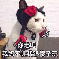 猫猫 你走吧 我妈不让我跟傻子玩 斗图