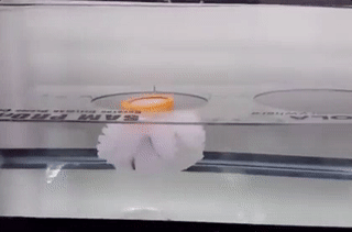 机器人 水母 3D打印 黑科技