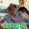 向往的生活 向往的生活2 池子 好的大哥 抱拳 soogif soogif出品