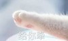 可爱 萌 文字表情包 小手 猫爪
