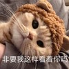 萌宠 猫星人 非要我这样看着你吗 盯着你 搞怪 呆萌